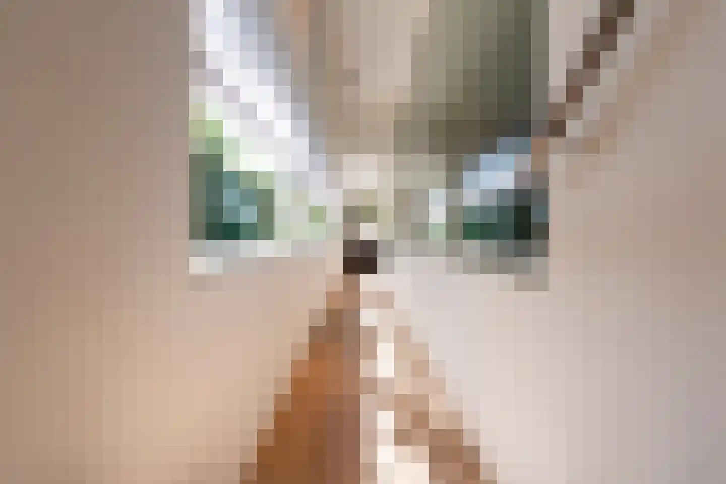 Leijzoom 1 a Goirle thumbnail 70