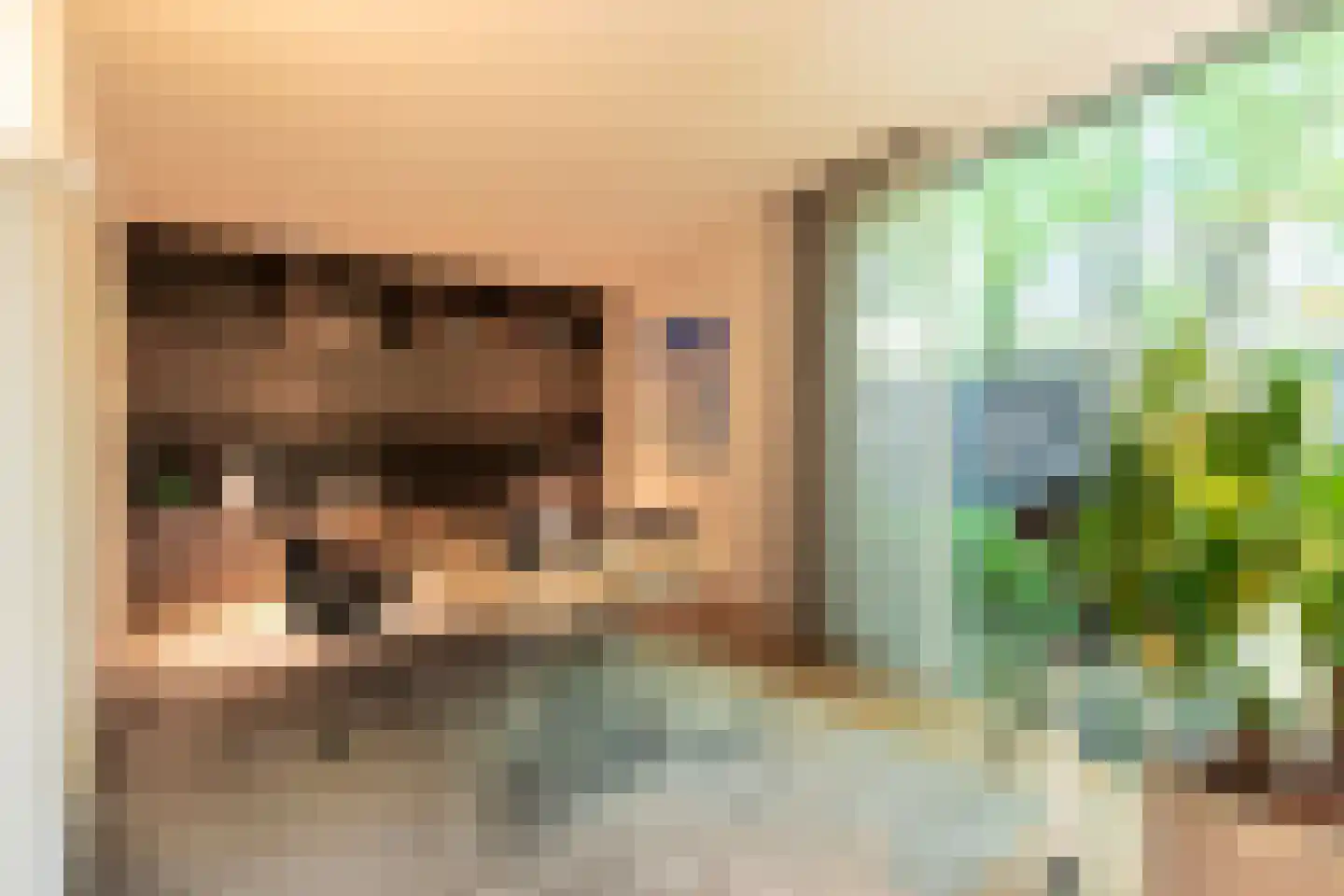 Leijzoom 1 a Goirle thumbnail 71