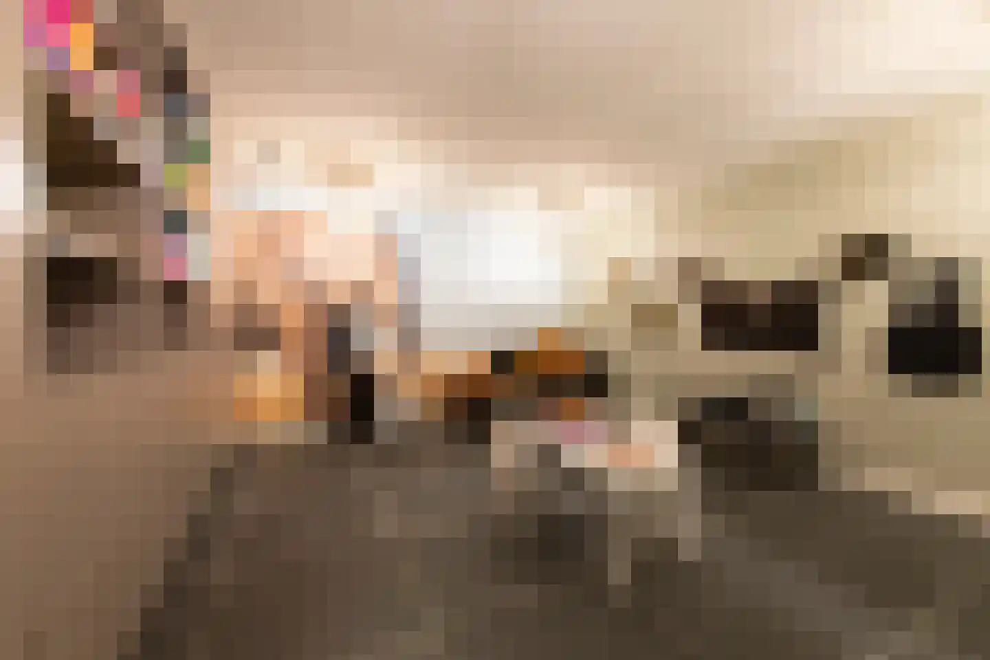 Leijzoom 1 a Goirle thumbnail 77