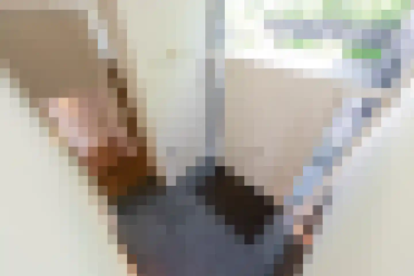 Leijzoom 1 a Goirle thumbnail 82