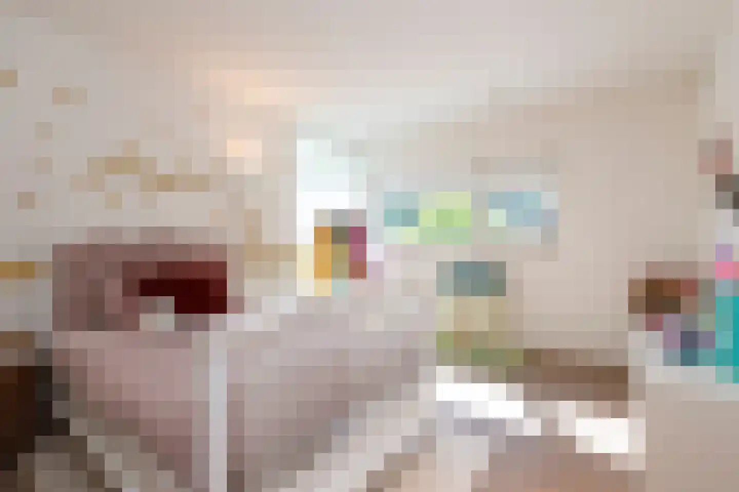 Leijzoom 1 a Goirle thumbnail 91
