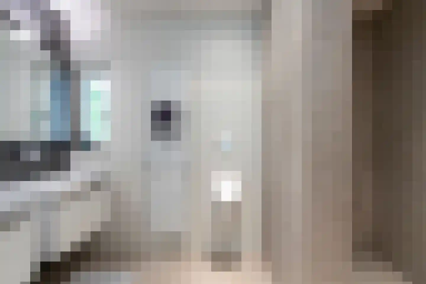 Leijzoom 1 a Goirle thumbnail 98