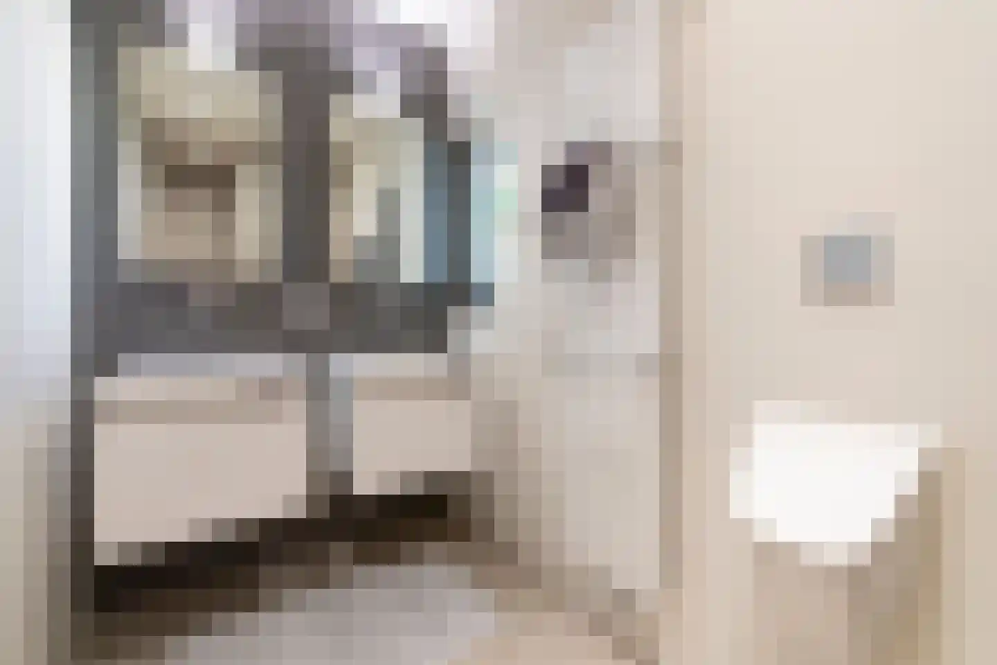 Leijzoom 1 a Goirle thumbnail 99