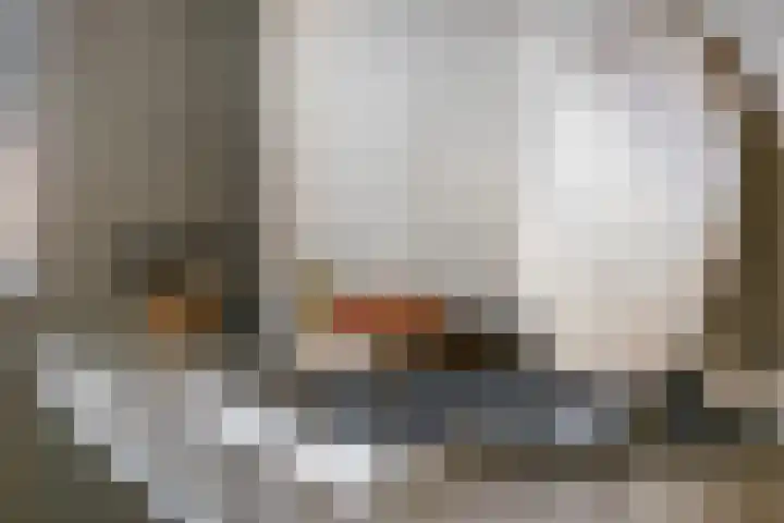 Leilat 23 Hooglanderveen thumbnail 12