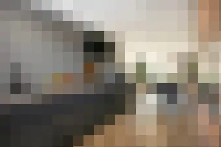 Leilat 23 Hooglanderveen thumbnail 13