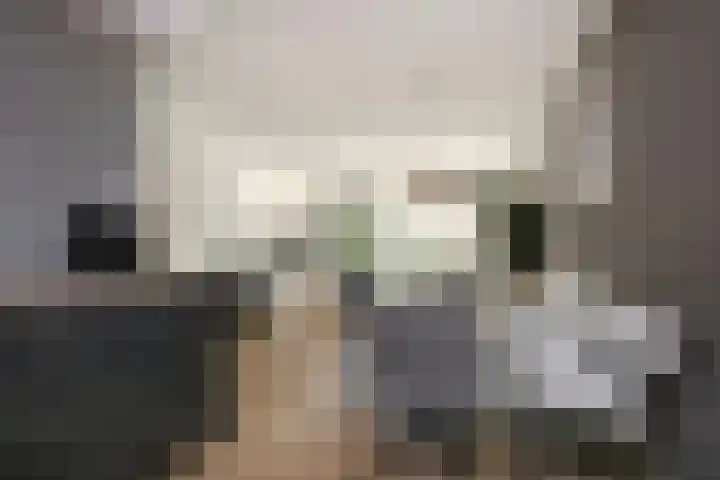 Leilat 23 Hooglanderveen thumbnail 14