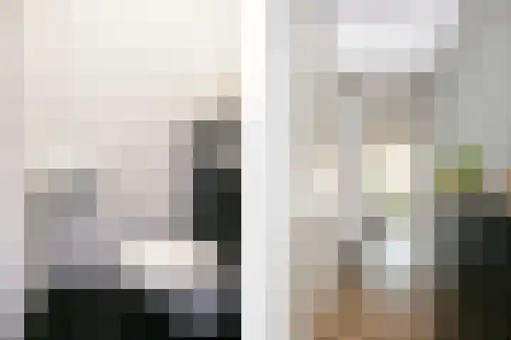 Leilat 23 Hooglanderveen thumbnail 15