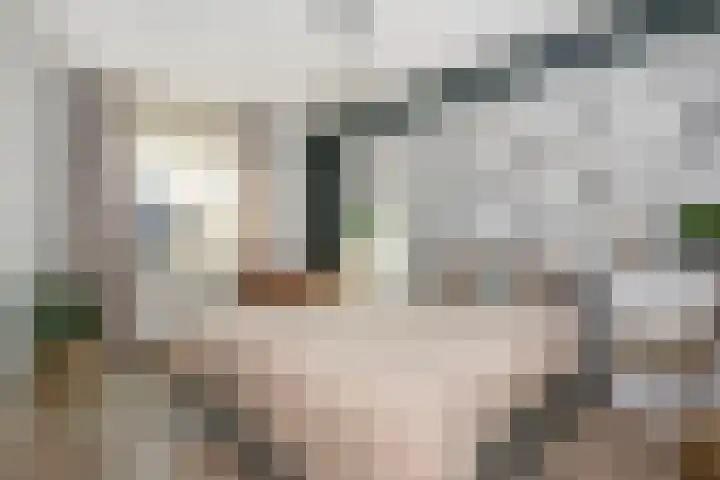 Leilat 23 Hooglanderveen thumbnail 17