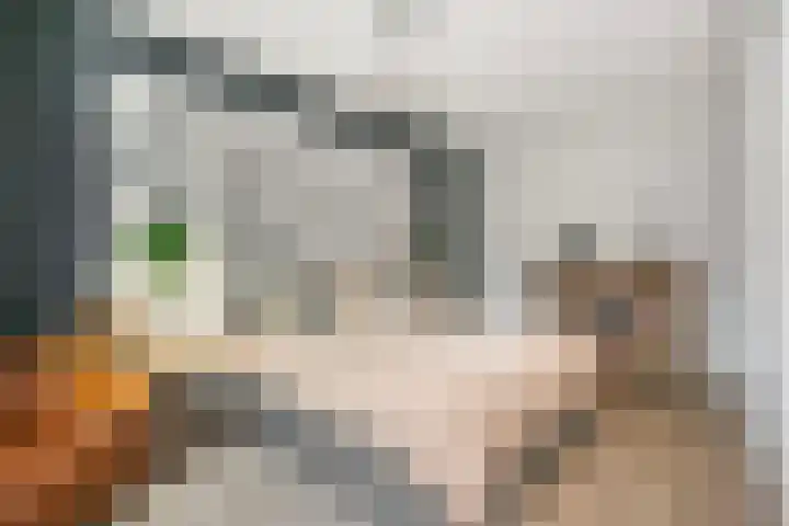 Leilat 23 Hooglanderveen thumbnail 18