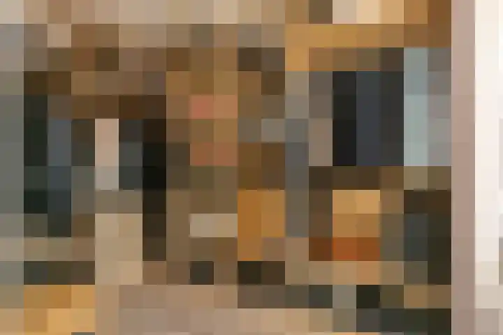 Leilat 23 Hooglanderveen thumbnail 20