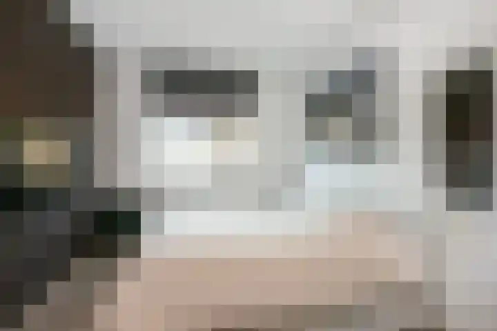 Leilat 23 Hooglanderveen thumbnail 21
