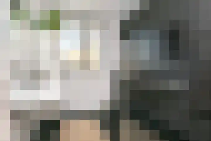 Leilat 23 Hooglanderveen thumbnail 23