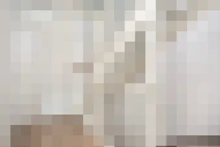 Leilat 23 Hooglanderveen thumbnail 25