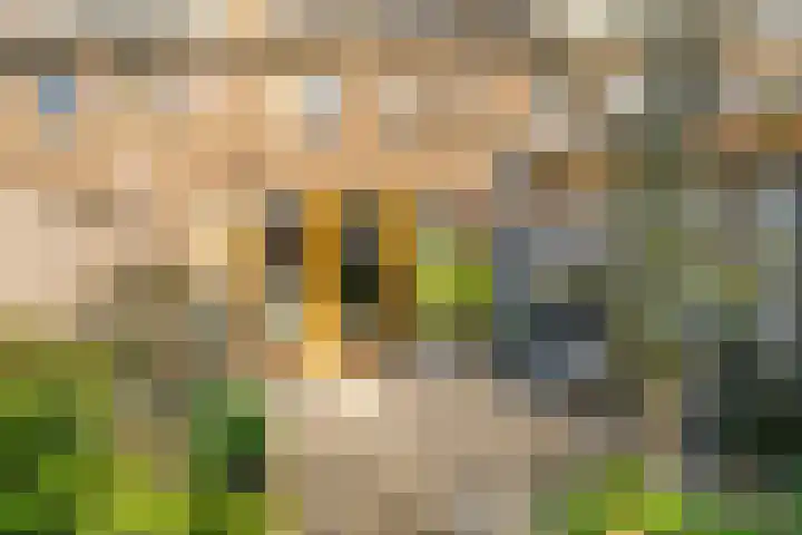 Leilat 23 Hooglanderveen thumbnail 31