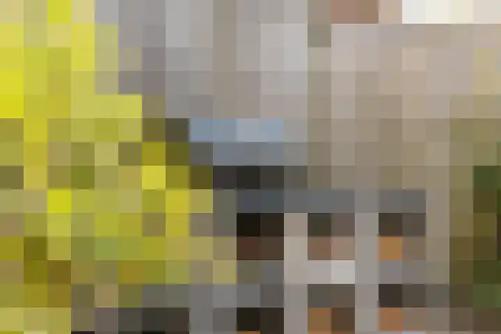 Leilat 23 Hooglanderveen thumbnail 32