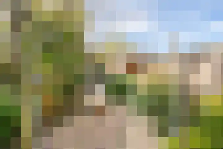 Leilat 23 Hooglanderveen thumbnail 33