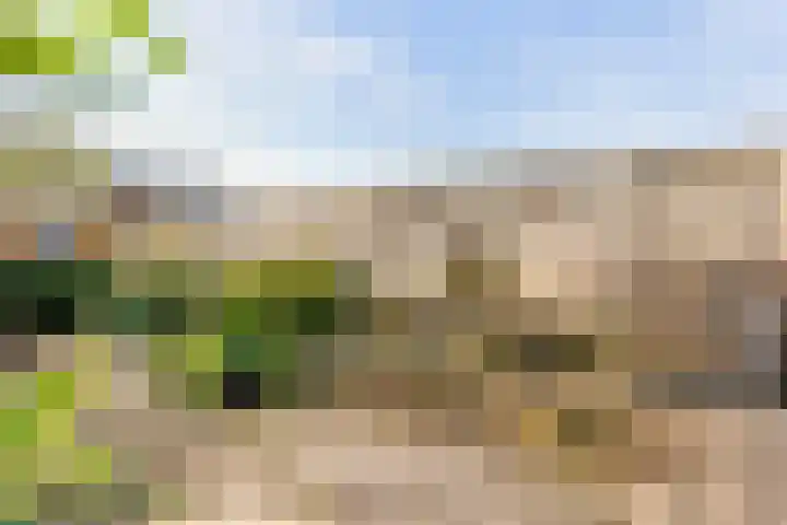 Leilat 23 Hooglanderveen thumbnail 34