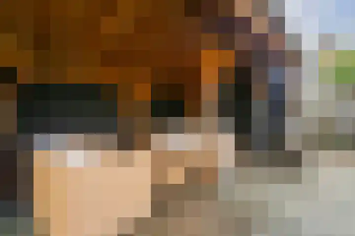 Leilat 23 Hooglanderveen thumbnail 35
