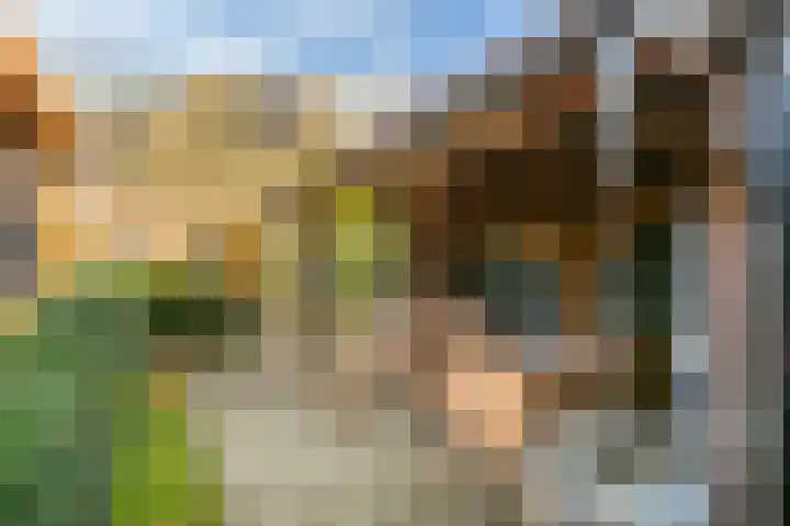 Leilat 23 Hooglanderveen thumbnail 36