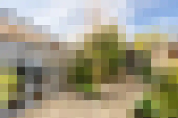 Leilat 23 Hooglanderveen thumbnail 4