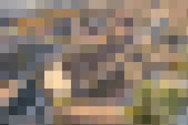 Leilat 23 Hooglanderveen thumbnail 40