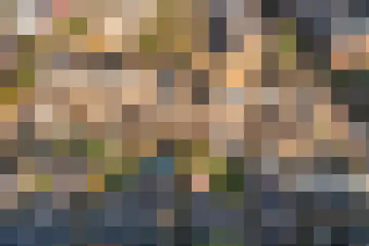 Leilat 23 Hooglanderveen thumbnail 41
