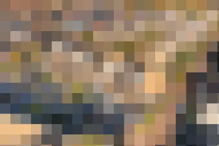 Leilat 23 Hooglanderveen thumbnail 43
