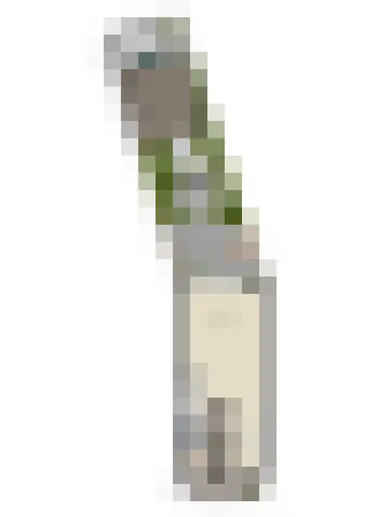 Leilat 23 Hooglanderveen thumbnail 47