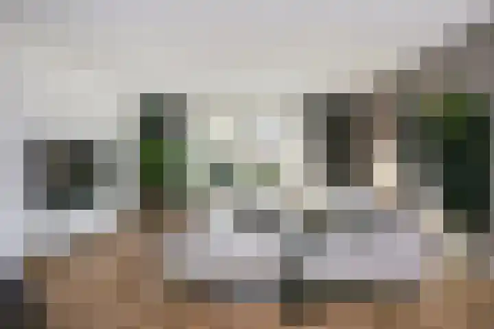 Leilat 23 Hooglanderveen thumbnail 6