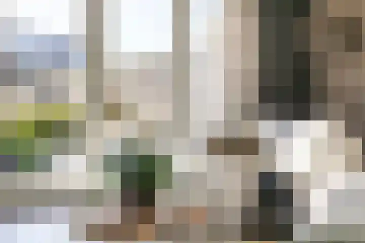 Leilat 23 Hooglanderveen thumbnail 7