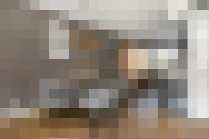 Leilat 23 Hooglanderveen thumbnail 9