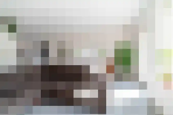 Leilat 69 Hooglanderveen thumbnail 11
