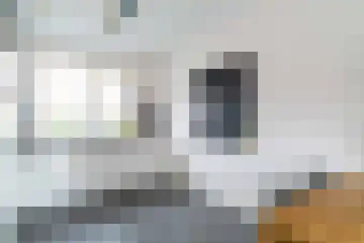 Leilat 69 Hooglanderveen thumbnail 13