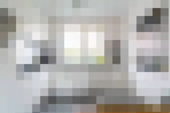 Leilat 69 Hooglanderveen thumbnail 14
