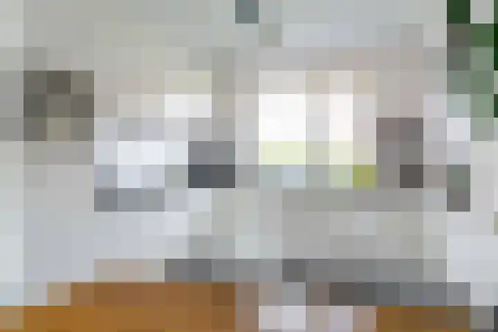 Leilat 69 Hooglanderveen thumbnail 15