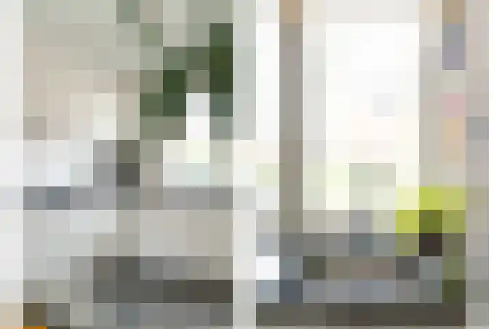 Leilat 69 Hooglanderveen thumbnail 16