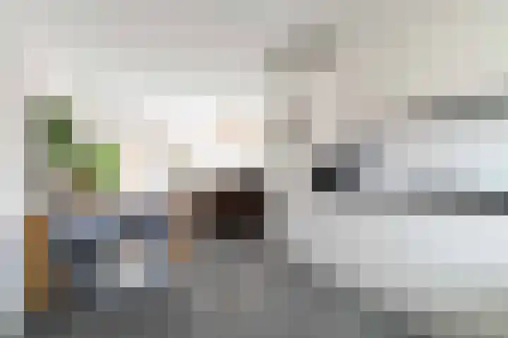 Leilat 69 Hooglanderveen thumbnail 18