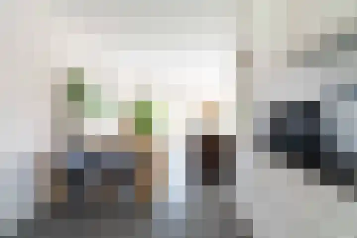 Leilat 69 Hooglanderveen thumbnail 19