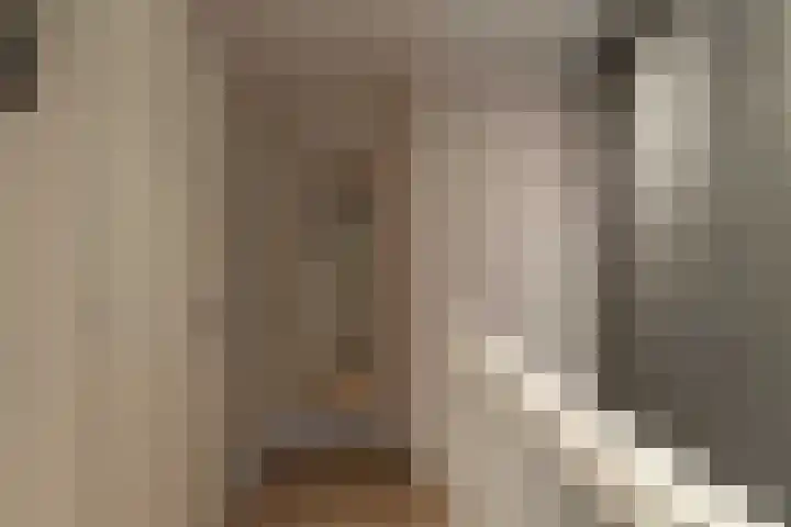Leilat 69 Hooglanderveen thumbnail 20