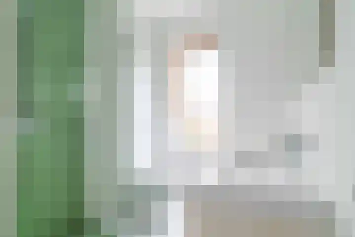 Leilat 69 Hooglanderveen thumbnail 21