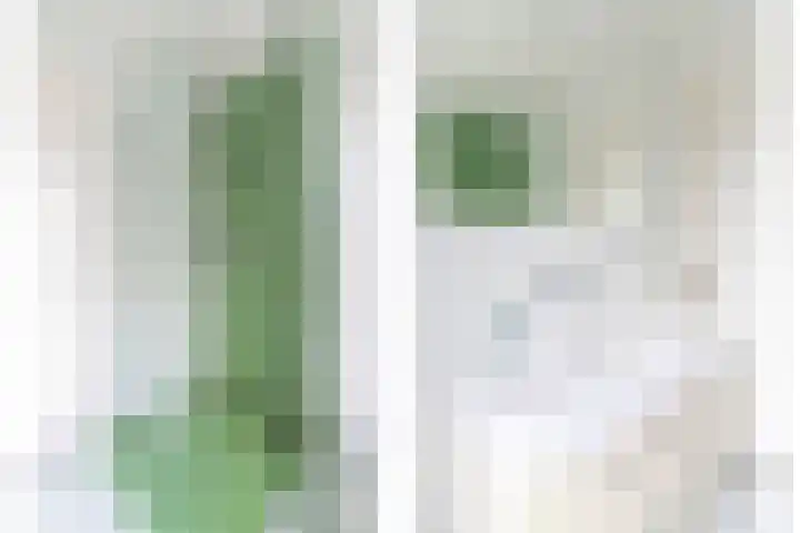 Leilat 69 Hooglanderveen thumbnail 22