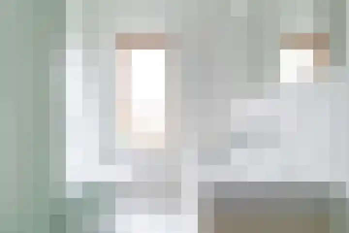 Leilat 69 Hooglanderveen thumbnail 23
