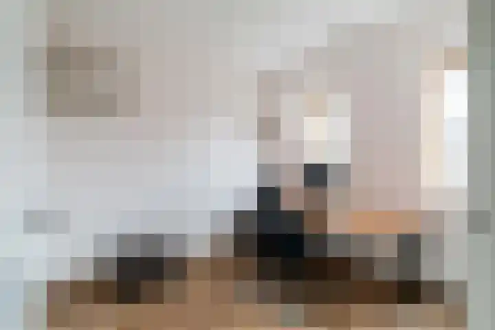Leilat 69 Hooglanderveen thumbnail 24