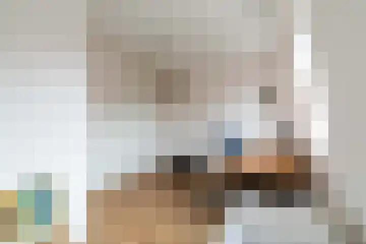 Leilat 69 Hooglanderveen thumbnail 26
