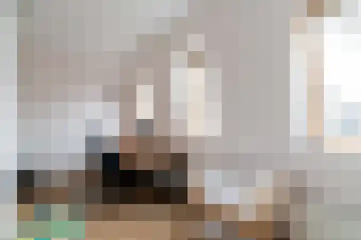 Leilat 69 Hooglanderveen thumbnail 27