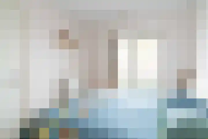Leilat 69 Hooglanderveen thumbnail 29