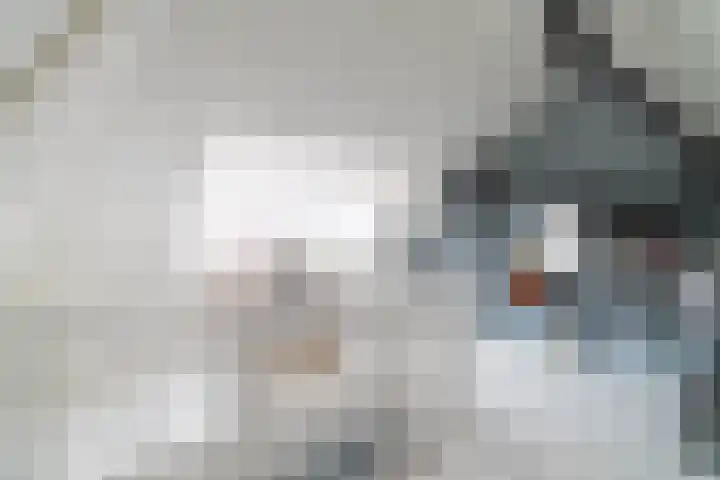 Leilat 69 Hooglanderveen thumbnail 31