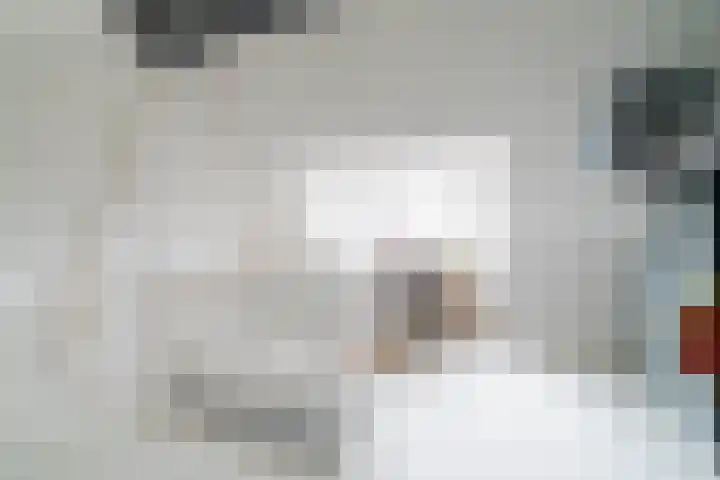 Leilat 69 Hooglanderveen thumbnail 32