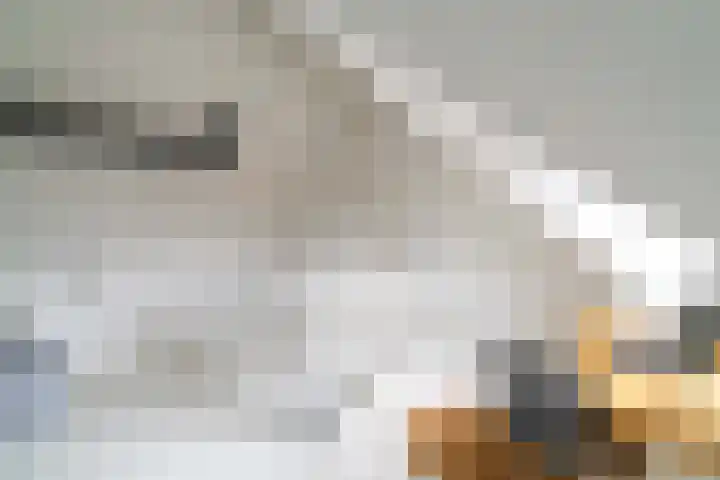 Leilat 69 Hooglanderveen thumbnail 33