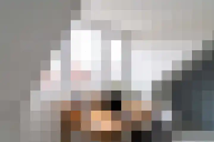 Leilat 69 Hooglanderveen thumbnail 35